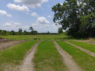 For sale land in Hang Dong, Chiang Mai