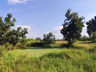 For sale land in Hang Dong, Chiang Mai
