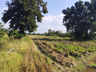 For sale land in Hang Dong, Chiang Mai