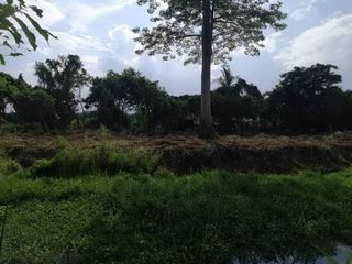 For sale land in San Sai, Chiang Mai