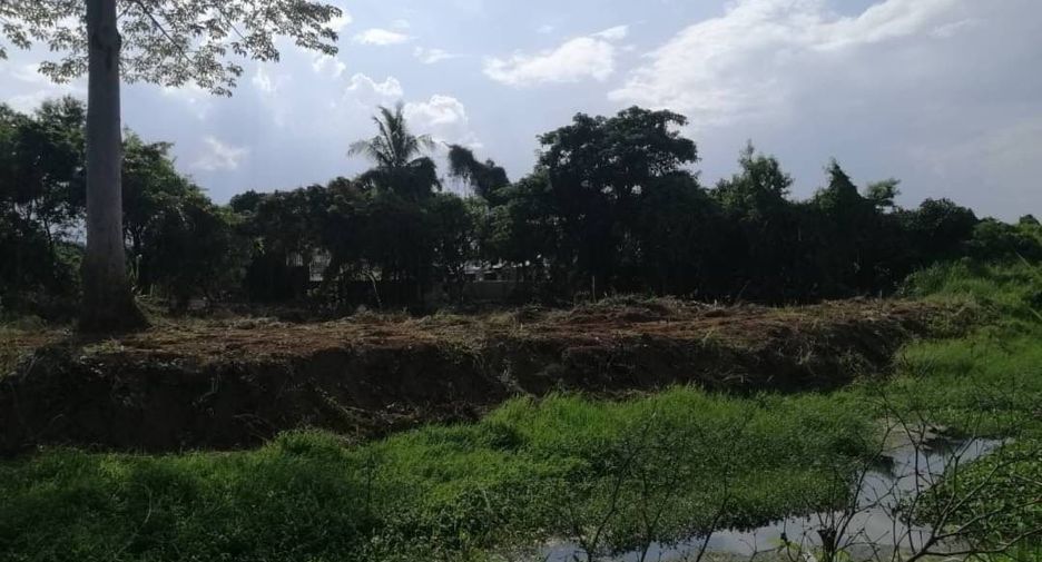 Grundstück zum Kauf in San Sai, Chiang Mai