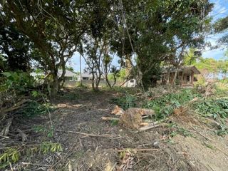 For sale land in San Sai, Chiang Mai