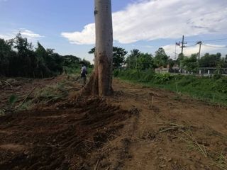 For sale land in San Sai, Chiang Mai