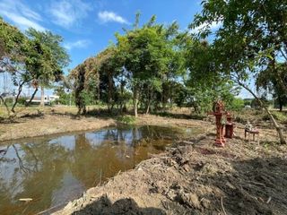 For sale land in San Sai, Chiang Mai