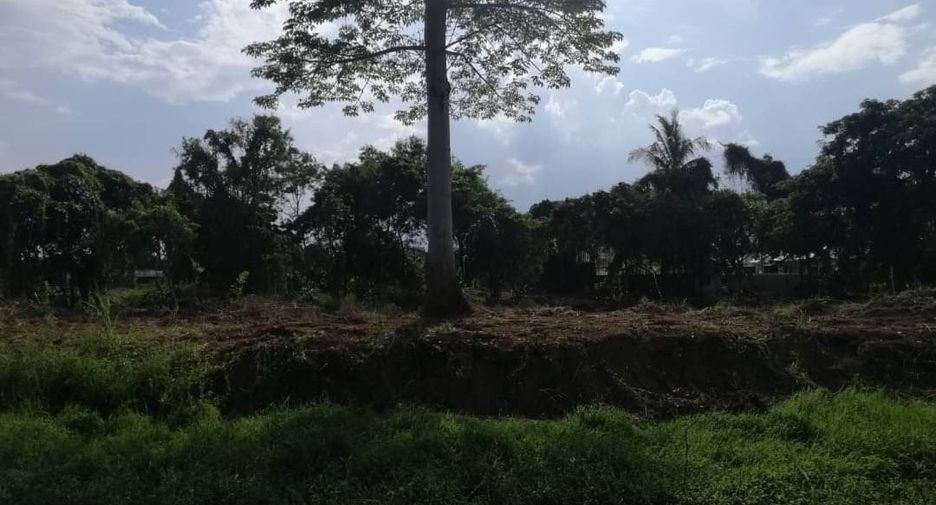 Grundstück zum Kauf in San Sai, Chiang Mai