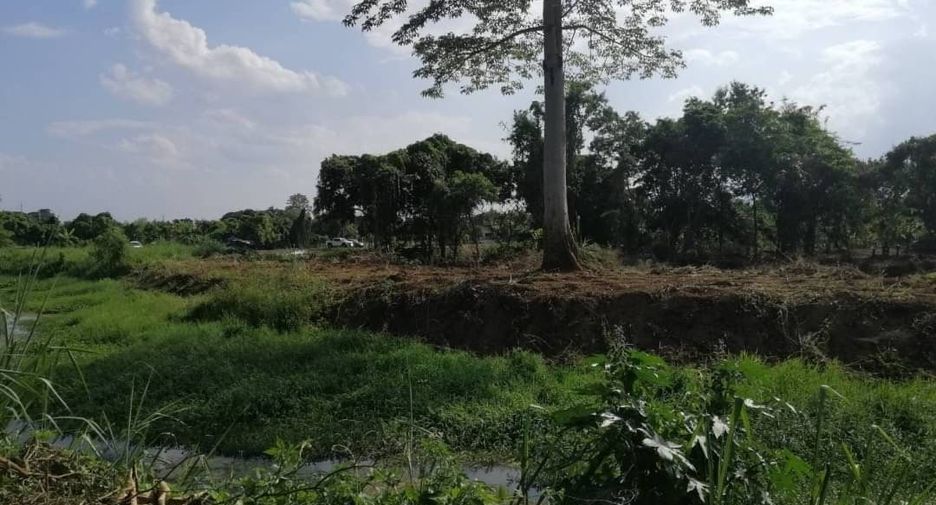 Grundstück zum Kauf in San Sai, Chiang Mai