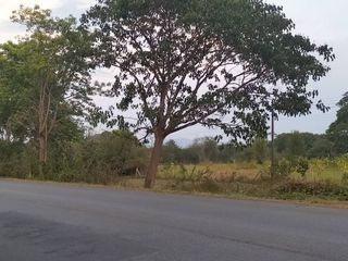 出售 土地 在 San Kamphaeng, Chiang Mai
