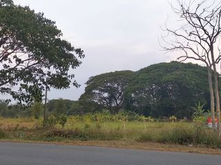 出售 土地 在 San Kamphaeng, Chiang Mai