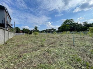 For sale land in San Kamphaeng, Chiang Mai