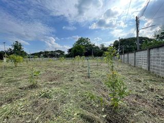 For sale land in San Kamphaeng, Chiang Mai