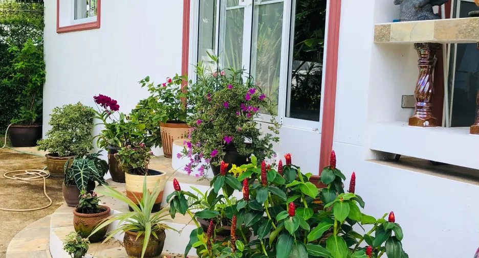 For sale 2 bedrooms villa in Kathu, Phuket