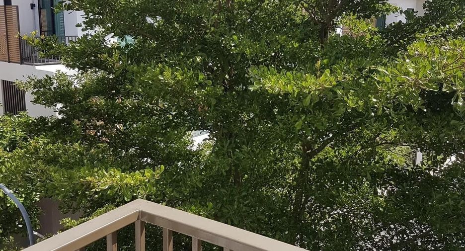 For rent 4 bedrooms house in Prawet, Bangkok