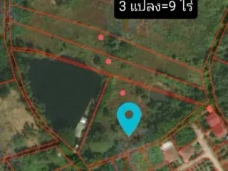 For sale land in San Pa Tong, Chiang Mai