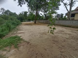 Продажа Участок в Mueang Chiang Mai, Чианг Маи