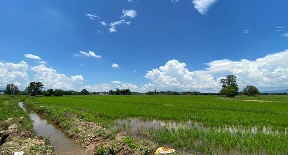 For sale land in Doi Saket, Chiang Mai