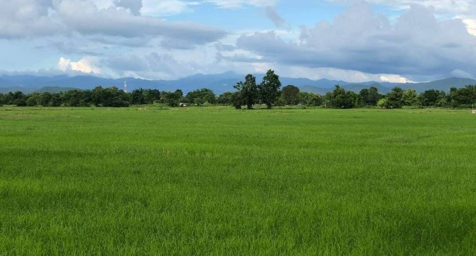 For sale land in Doi Saket, Chiang Mai