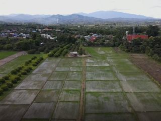 For sale land in San Pa Tong, Chiang Mai