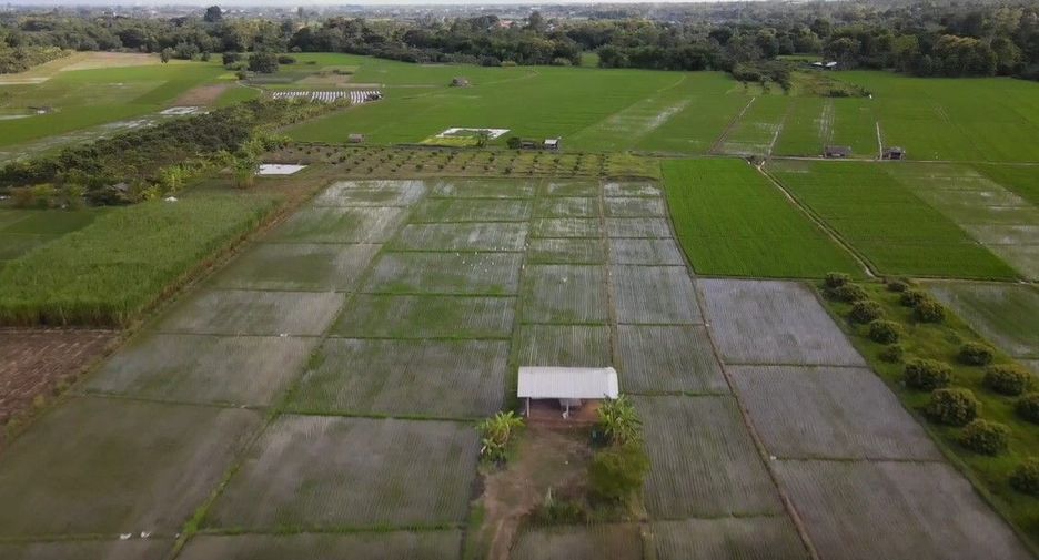 For sale land in San Pa Tong, Chiang Mai