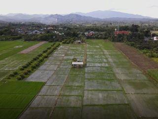 For sale land in San Pa Tong, Chiang Mai