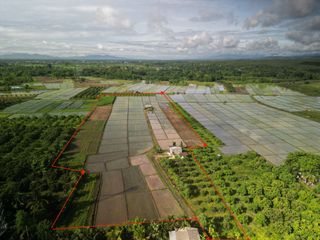 For sale land in San Pa Tong, Chiang Mai