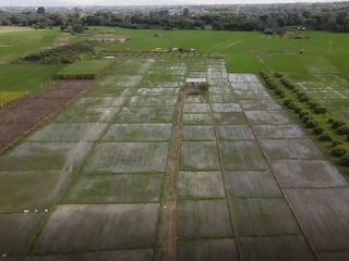 For sale land in San Pa Tong, Chiang Mai
