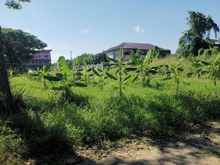 Grundstück zum Kauf in San Sai, Chiang Mai