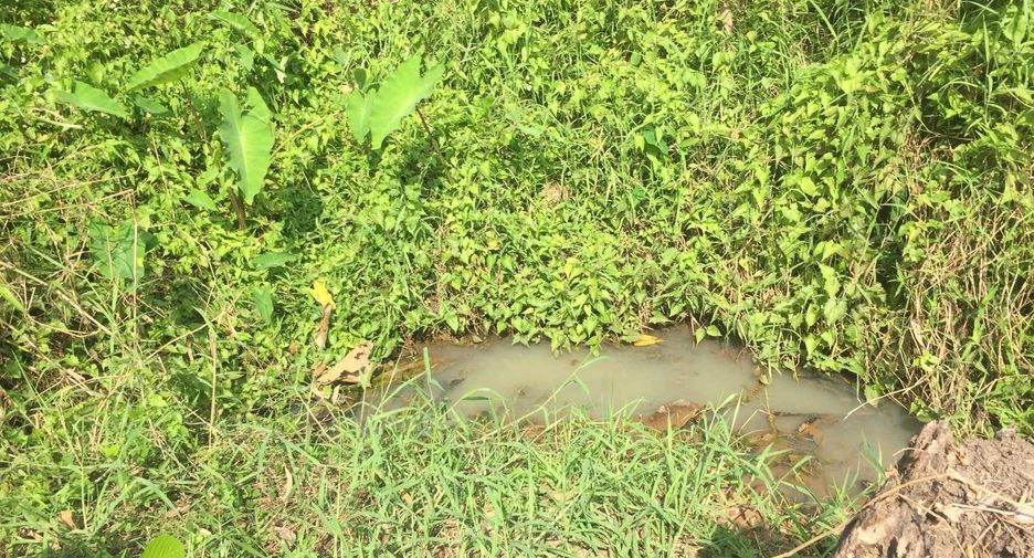Terreno en venta en San Sai, Chiang Mai
