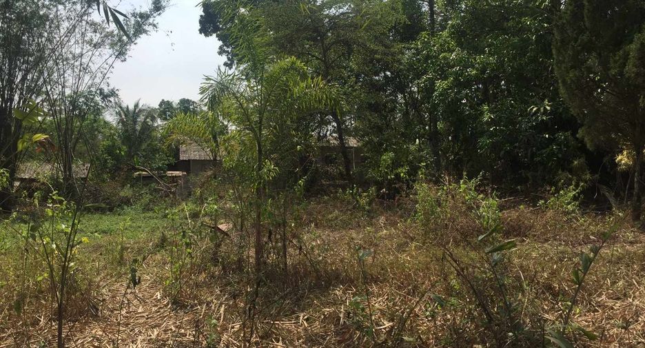 Terreno en venta en San Sai, Chiang Mai