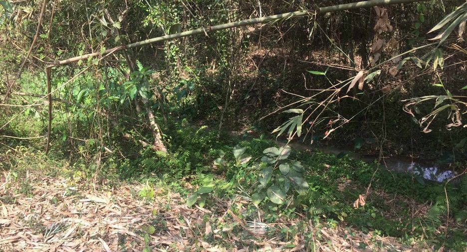 Terreno en venta en San Sai, Chiang Mai