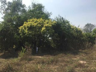 Grundstück zum Kauf in San Sai, Chiang Mai