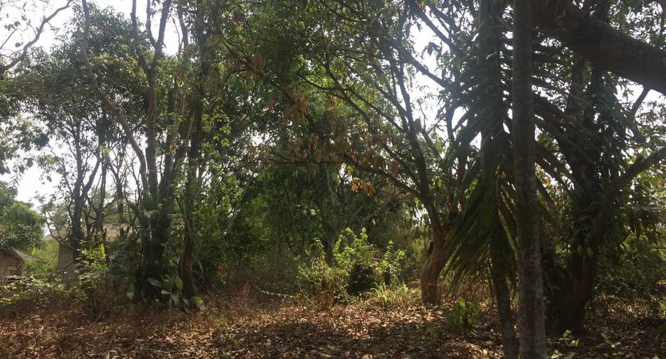 Terreno en venta en San Sai, Chiang Mai