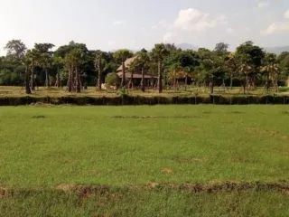 出售 土地 在 Mae Rim, Chiang Mai