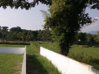 出售 土地 在 Mae Rim, Chiang Mai