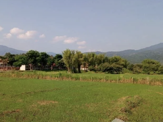 出售 土地 在 Mae Rim, Chiang Mai