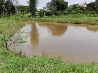 For sale land in Mae Rim, Chiang Mai