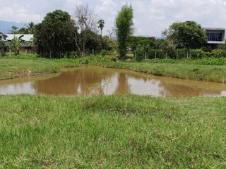 For sale land in Mae Rim, Chiang Mai