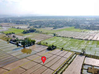 For sale land in San Kamphaeng, Chiang Mai
