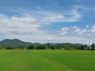 For sale land in San Sai, Chiang Mai