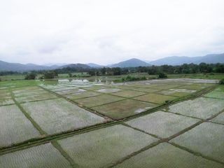 For sale land in San Sai, Chiang Mai