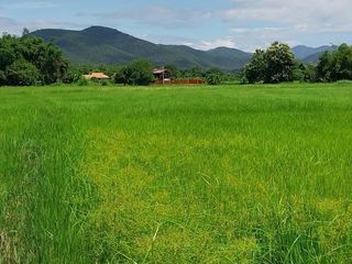 For sale land in San Sai, Chiang Mai