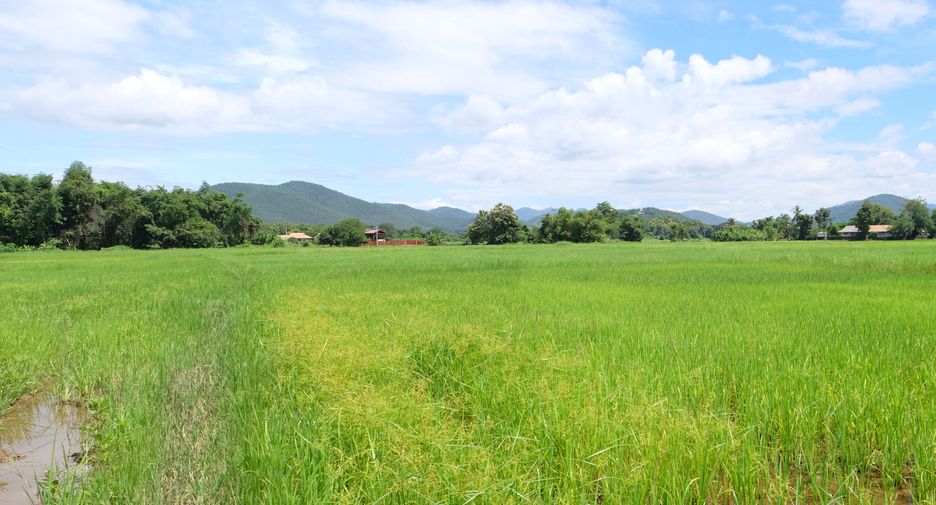 Grundstück zum Kauf in San Sai, Chiang Mai