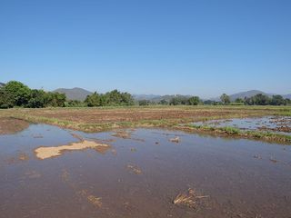 For sale land in San Sai, Chiang Mai