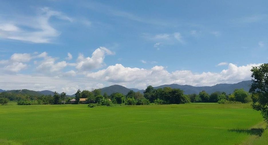 Grundstück zum Kauf in San Sai, Chiang Mai