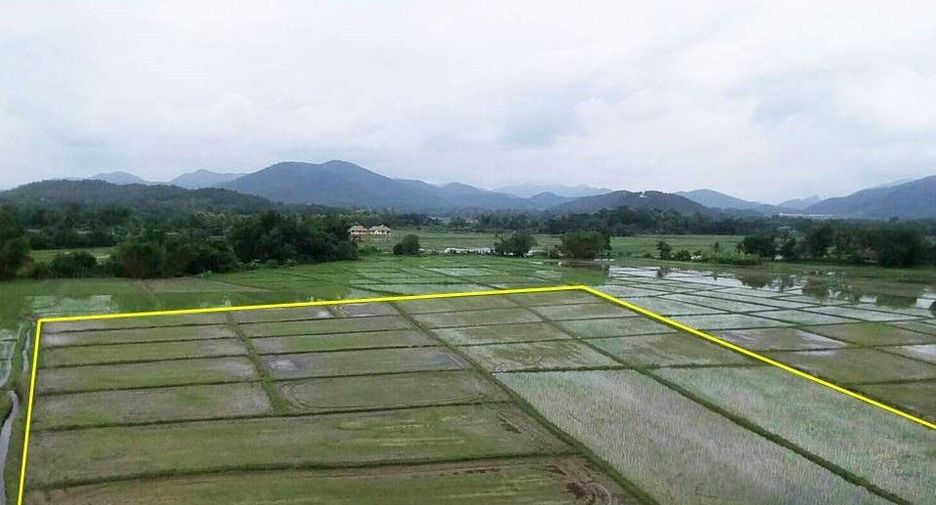Grundstück zum Kauf in San Sai, Chiang Mai