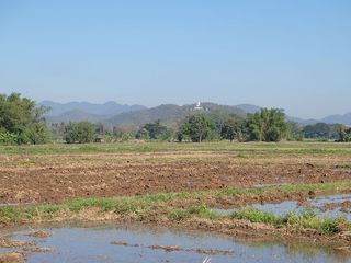 For sale land in San Sai, Chiang Mai
