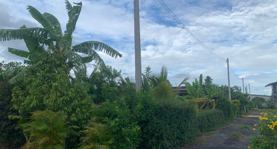 Terreno en venta en Mae Taeng, Chiang Mai