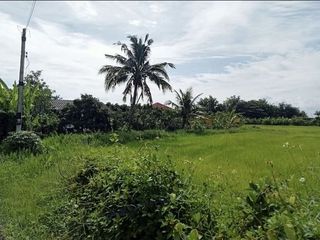 For sale land in San Pa Tong, Chiang Mai