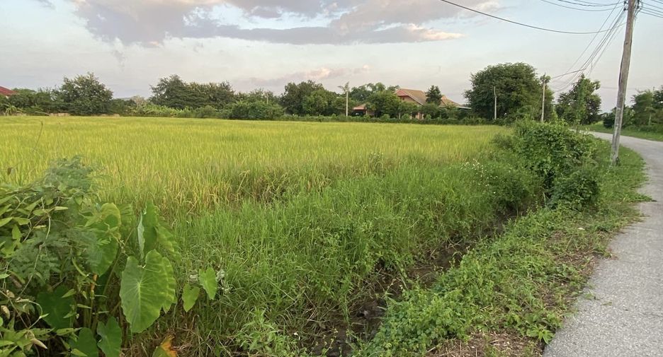 For sale land in San Pa Tong, Chiang Mai