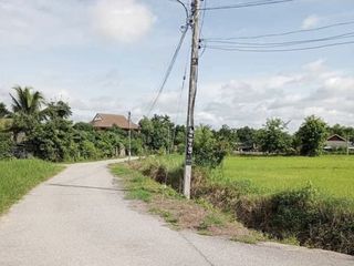 For sale land in San Pa Tong, Chiang Mai