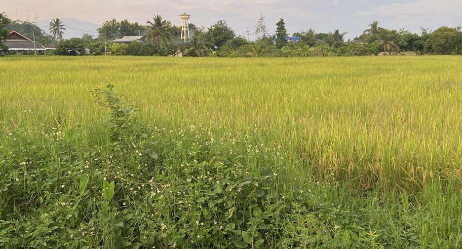 For sale land in San Pa Tong, Chiang Mai